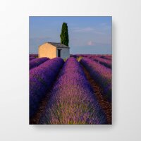 Häuschen im Lavendelfeld - Akustikbild
