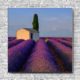 Akustikbild Häuschen im Lavendelfeld Quadrat