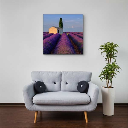 Akustikbild Häuschen im Lavendelfeld Quadrat