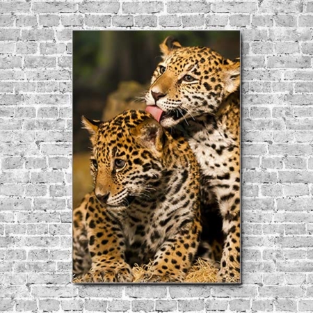 Akustikbild Tierbabys Leoparden Hochformat