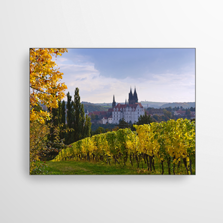 Dieses Motiv zeigt die Albrechtsburg Meißen. Man sieht die Weinhänge im Vordergrund.