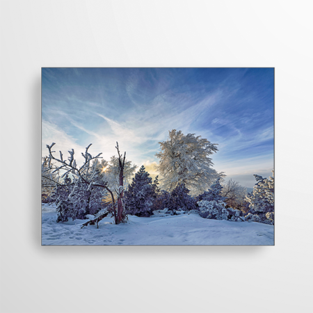 Dieses Akustikbild wurde bei minus 18 Grad aufgenommen. Die schneebedeckten Gipfel der Bäume ragen in den blauen Himmel. Darunter liegt der weiße Schnee, durch den einige Fußstapfen führen.