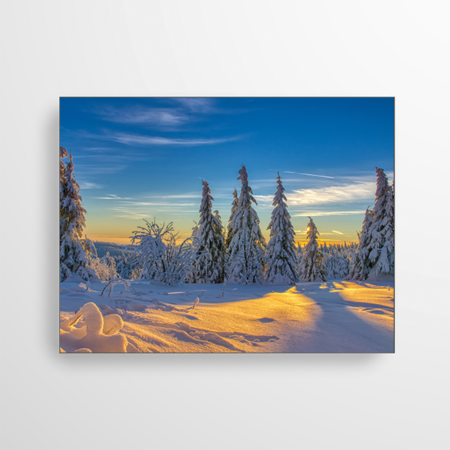 Ein wunderschöner winterlichter Anblick. Nahe des Fichtelbergs wurde dieser schneebedeckte Wald fotografiert und ist nun das Motiv unserer Akustikbild Winterkollektion.
