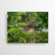 Das Akustikbild "Into The Wild" zeigt eine Fotografie. Zu sehen ist ein schmaler Fluss, welcher von allen Seiten mit grünen Blättern zugewuchert wird. Das Bild versprüht Dschungel Gefühle.